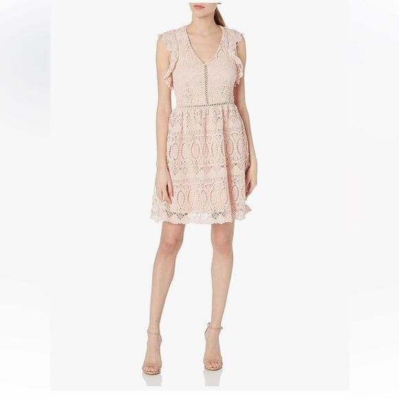 J.O.A. Pink Eyelet Crochet Lace Babydoll Fit & Flare Mini Dress L NWT - Picture 1 of 14